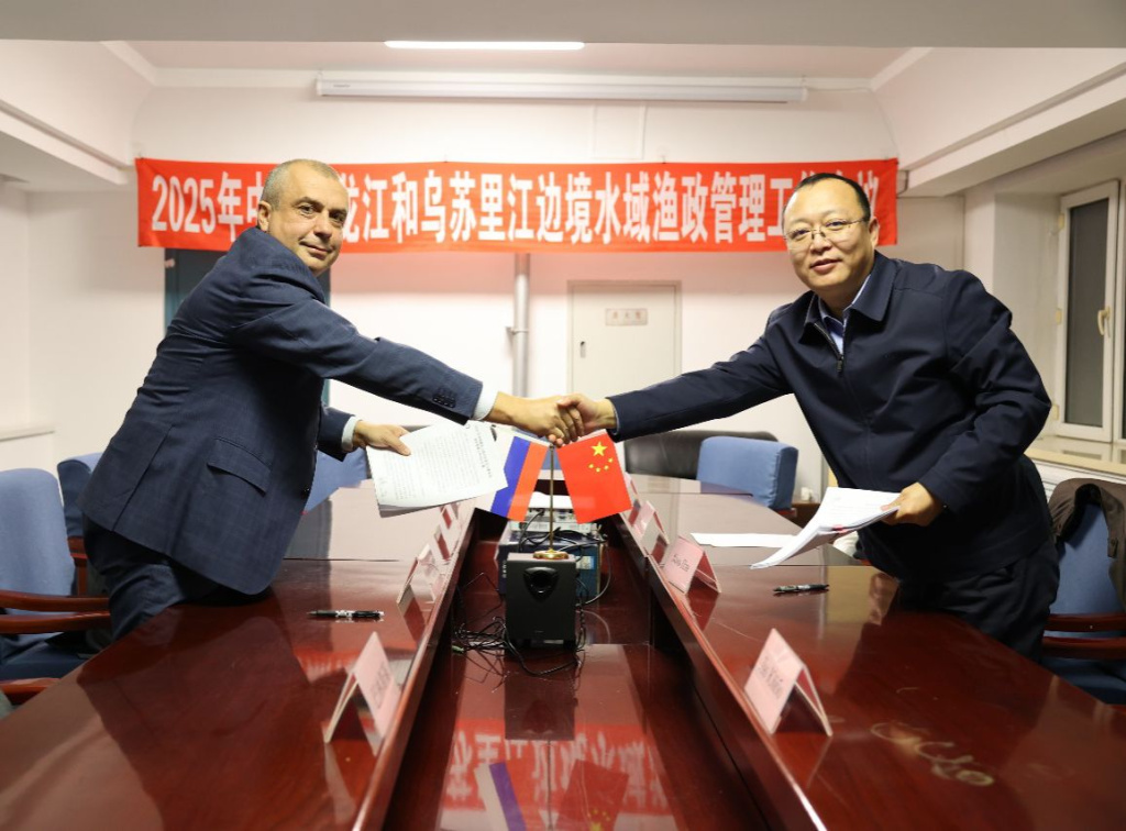 WhatsApp Image 2025-11-12 at 15.07.47.jpeg