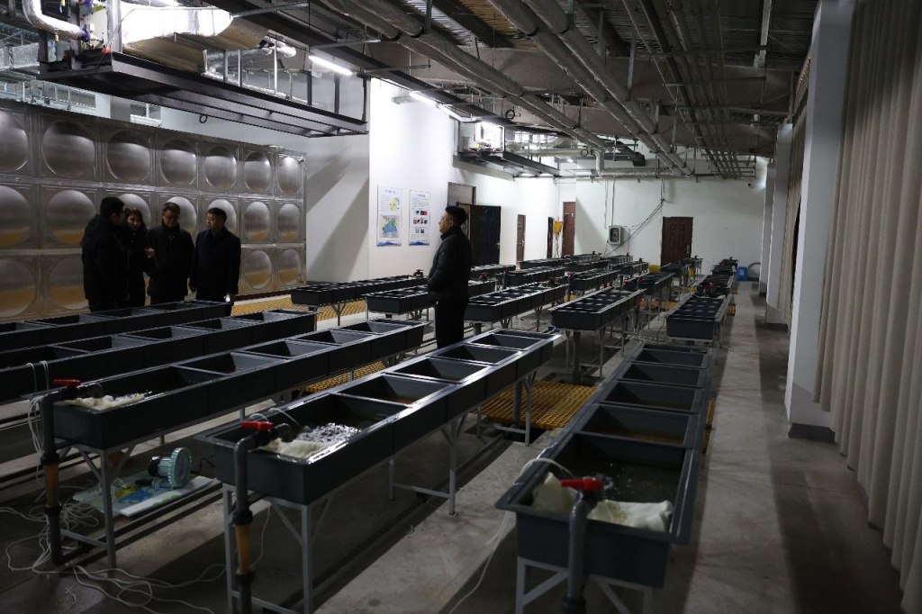 WhatsApp Image 2025-11-12 at 15.05.05.jpeg