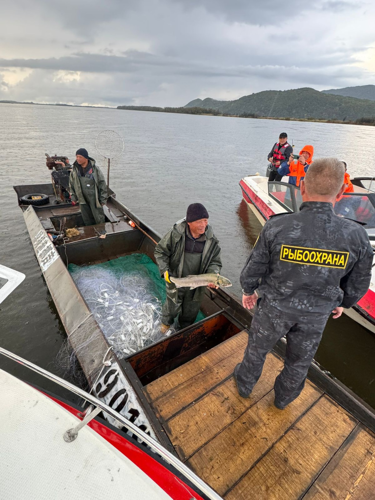 WhatsApp Image 2025-09-29 at 17.36.04.jpeg WhatsApp Image 2025-09-29 at 17.36.04.jpeg