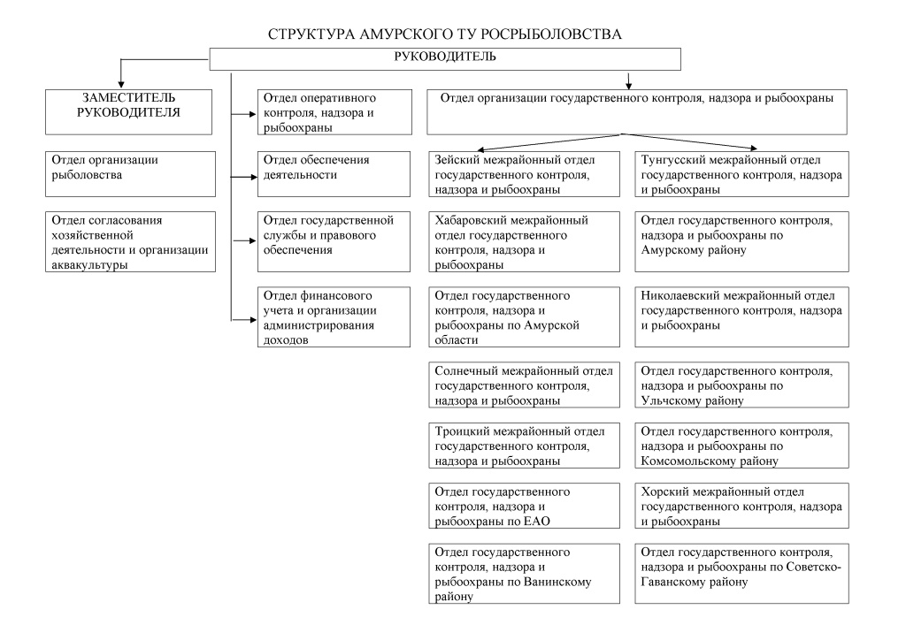 Структура.jpg